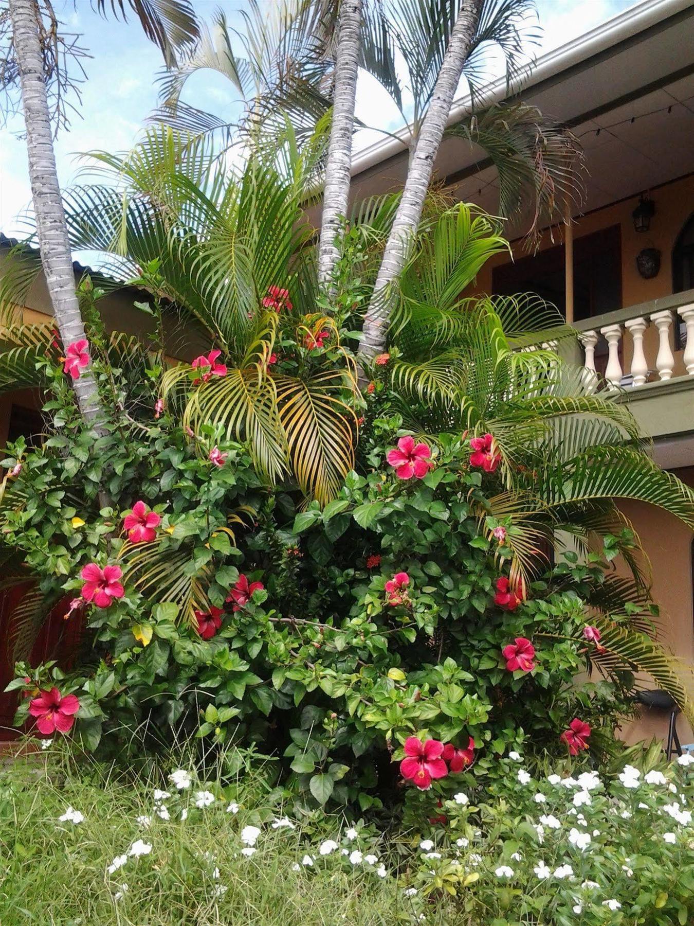 Cabinas Madeleine Puntarenas Bagian luar foto